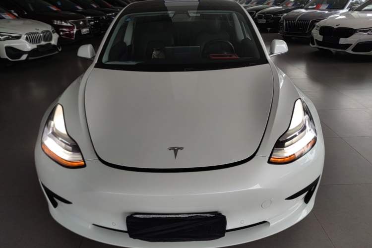 Used Tesla Model 3 2019 Standard Range Rear-Drive Upgraded Version Front
