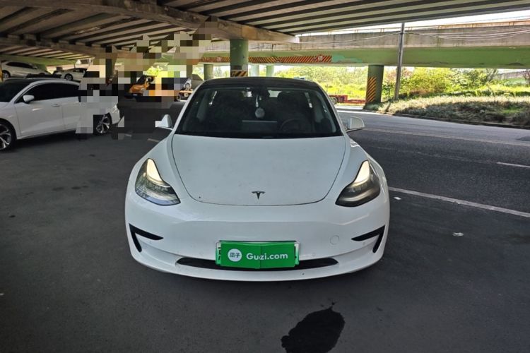 Used Tesla Model 3 2019 Standard Range Rear-Wheel Drive Upgraded Version (60 kWh) Front