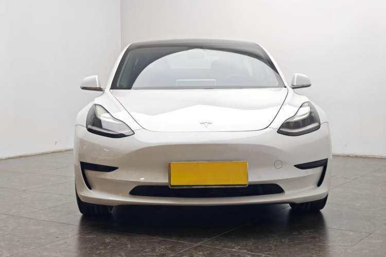 Used Tesla Model 3 2019 Standard Range Rear-Drive Upgraded Version Front