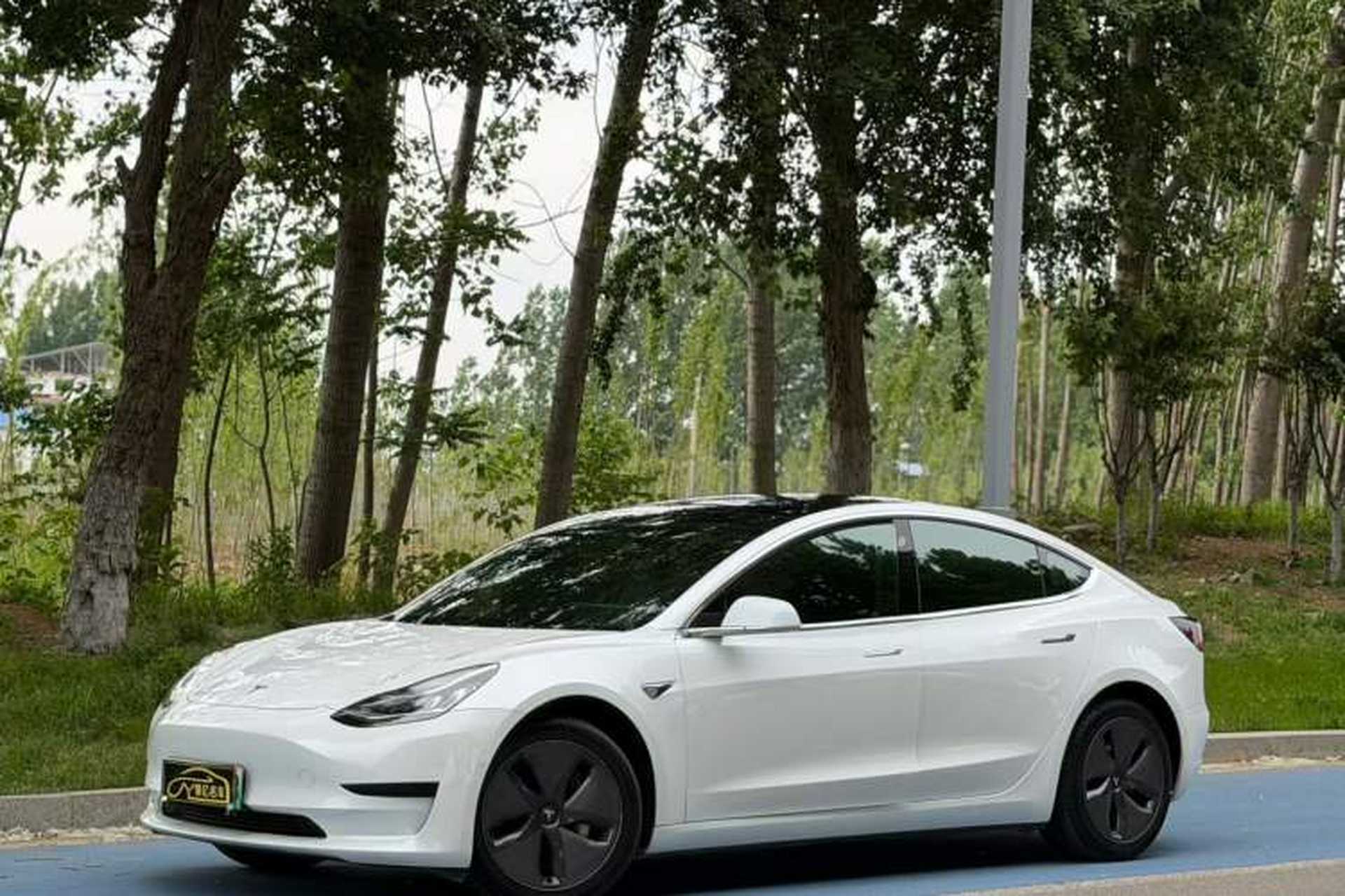 Used Tesla Model 3 2019 Standard Range Rear-Wheel Drive Upgraded Version (52 kWh) Front Left 45 Deg