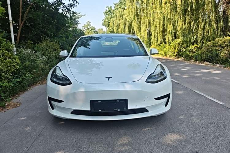 Used Tesla Model 3 2019 Standard Range Rear-Wheel Drive Upgraded Version (52 kWh) Front
