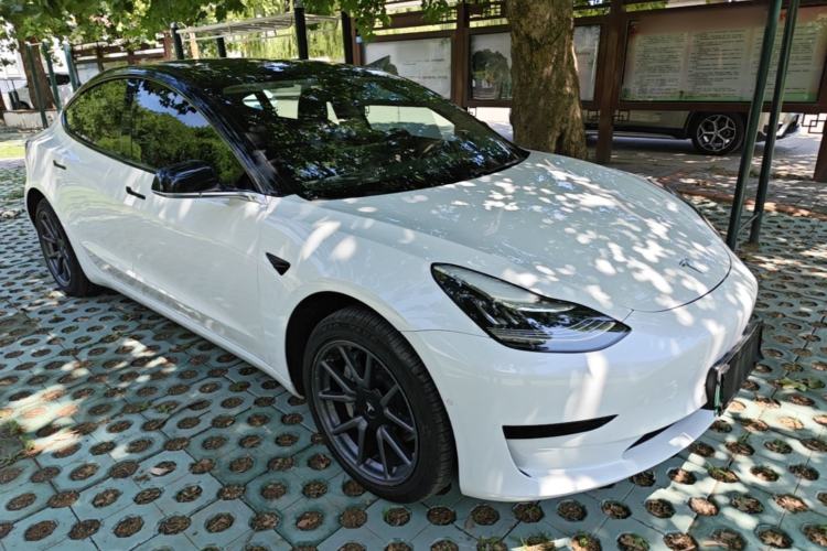 Used Tesla Model 3 2019 Standard Range Rear-Drive Upgraded Version Front Right 45 Deg