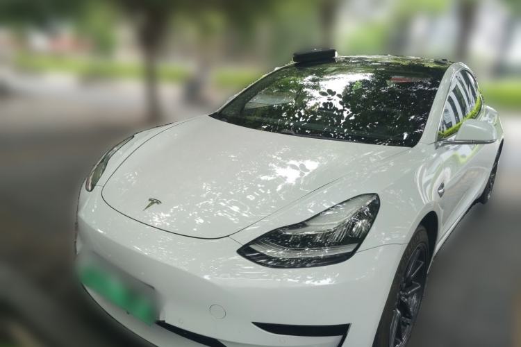Used Tesla Model 3 2019 Standard Range Rear-Wheel Drive Upgraded Version (60 kWh) Front