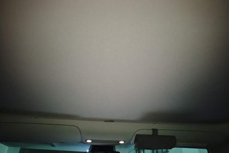 Used Tesla Model 3 2019 Long-Range All-Wheel-Drive Version Headliner