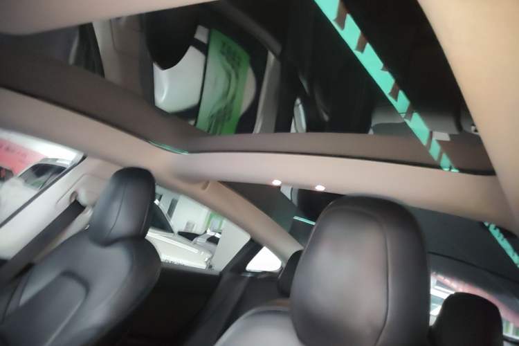 Used Tesla Model 3 2019 Long-Range All-Wheel-Drive Version Headliner