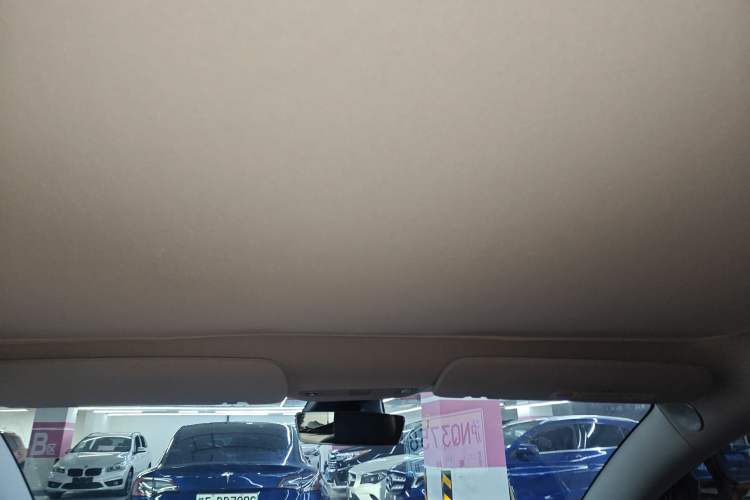 Used Tesla Model 3 2019 Long-Range Rear-Wheel-Drive Version Headliner