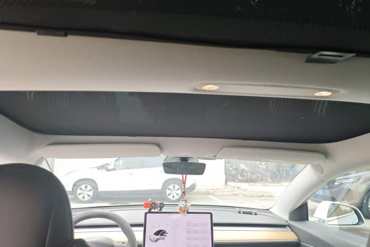 Used Tesla Model 3 2019 Standard Range Rear-Drive Upgraded Version Headliner