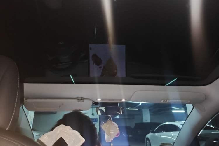 Used Tesla Model 3 2019 Long-Range Rear-Wheel-Drive Version Headliner