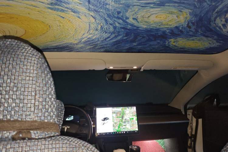 Used Tesla Model 3 2019 Long-Range Rear-Wheel-Drive Version Headliner