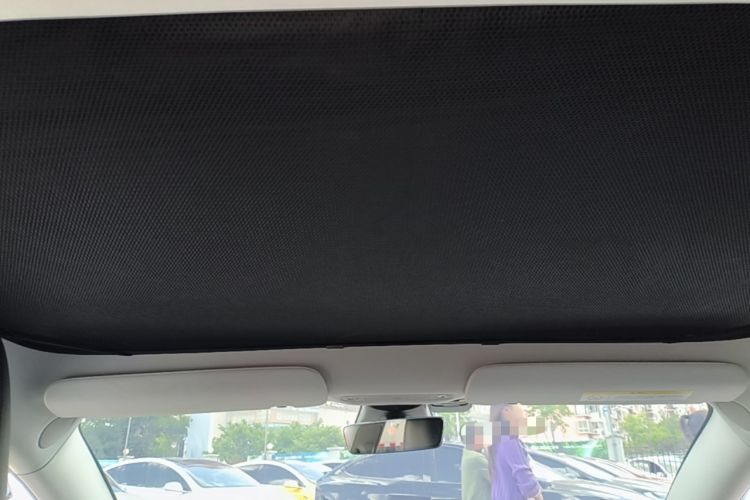 Used Tesla Model 3 2019 Standard Range Rear-Wheel Drive Upgraded Version (60 kWh) Headliner