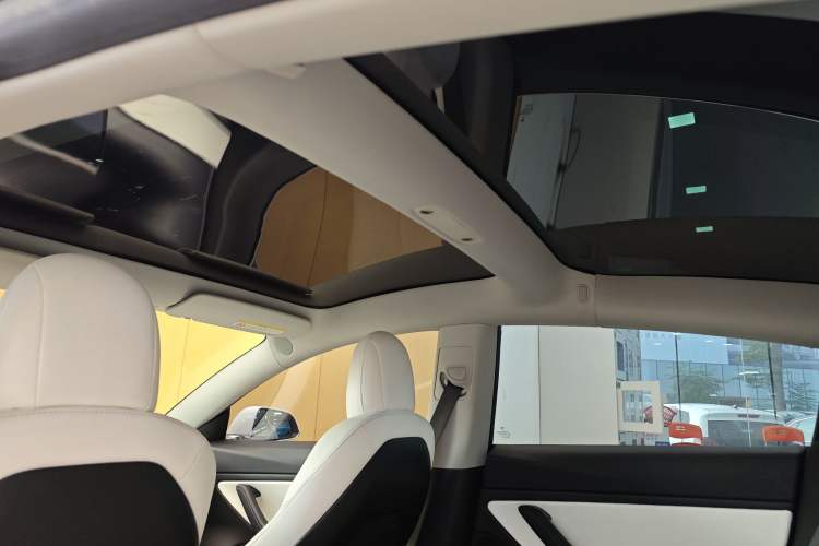 Used Tesla Model 3 2019 Long-Range Rear-Wheel-Drive Version Headliner