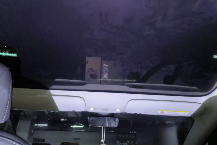 Used Tesla Model 3 2019 Long-Range Rear-Wheel-Drive Version Headliner