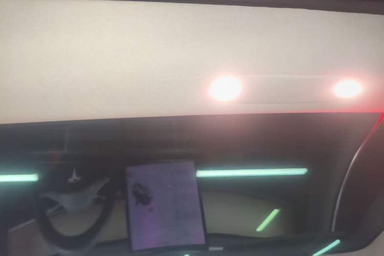 Used Tesla Model 3 2019 Long-Range All-Wheel-Drive Version Headliner