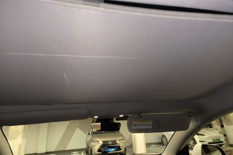 Used Tesla Model 3 2019 Long-Range All-Wheel-Drive Version Headliner