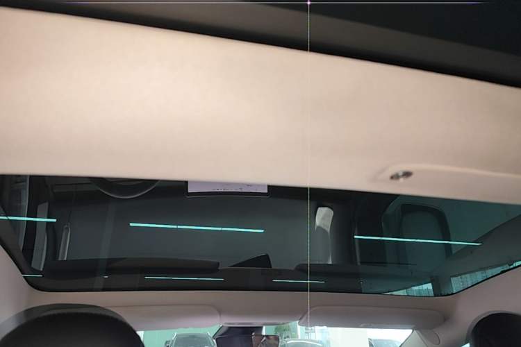 Used Tesla Model 3 2019 Standard Range Rear-Wheel Drive Upgraded Version (52 kWh) Headliner