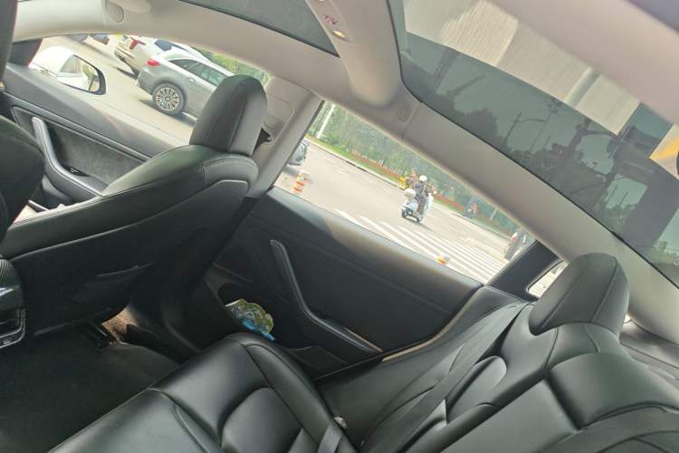 Used Tesla Model 3 2019 Standard Range Rear-Drive Upgraded Version Headliner