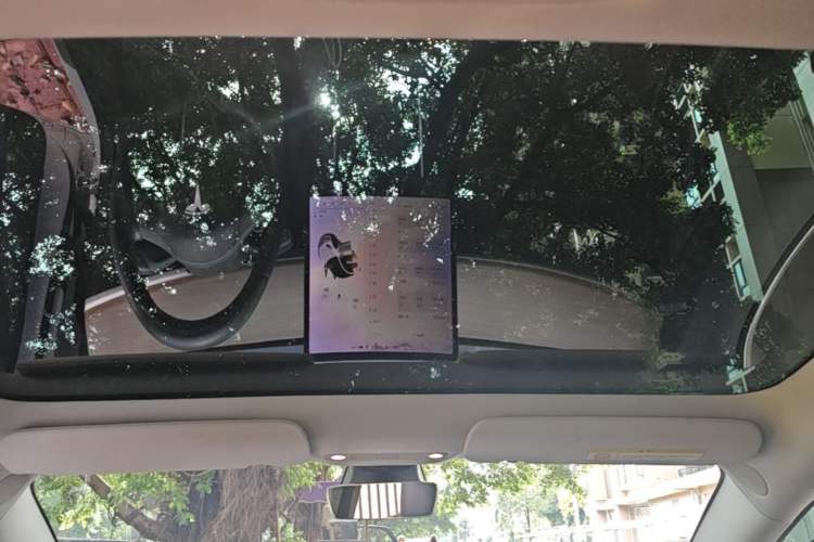Used Tesla Model 3 2019 Long-Range Rear-Wheel-Drive Version Headliner