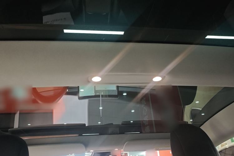 Used Tesla Model 3 2019 Long-Range Rear-Wheel-Drive Version Headliner