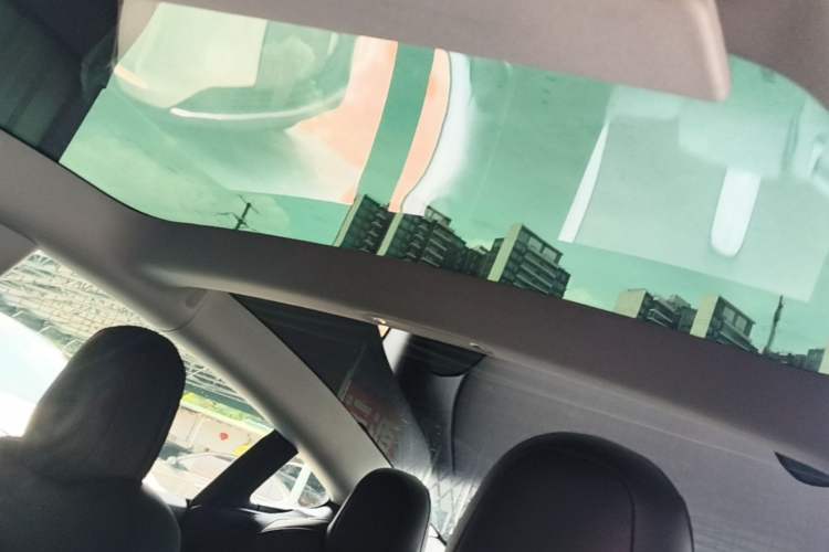 Used Tesla Model 3 2019 Standard Range Rear-Drive Upgraded Version Headliner