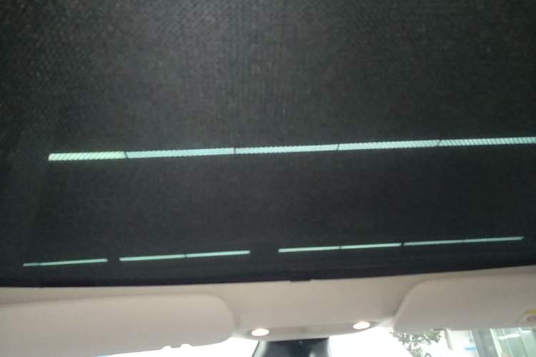 Used Tesla Model 3 2019 Long-Range All-Wheel-Drive Version Headliner