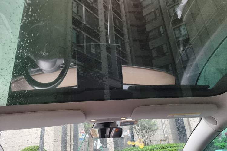 Used Tesla Model 3 2019 Long-Range Rear-Wheel-Drive Version Headliner