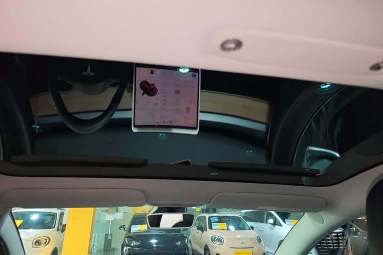 Used Tesla Model 3 2019 Standard Range Rear-Drive Upgraded Version Headliner