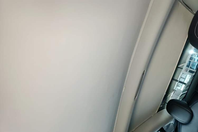 Used Tesla Model 3 2019 Long-Range Rear-Wheel-Drive Version Headliner