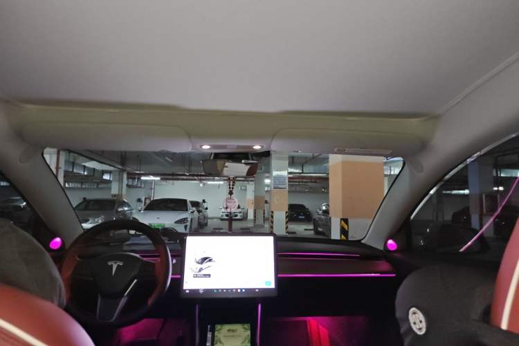 Used Tesla Model 3 2019 Standard Range Rear-Wheel Drive Upgraded Version (60 kWh) Headliner