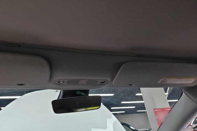 Used Tesla Model 3 2019 Long-Range Rear-Wheel-Drive Version Headliner