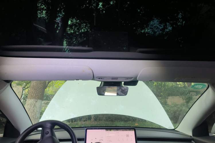 Used Tesla Model 3 2019 Long-Range Rear-Wheel-Drive Version Headliner