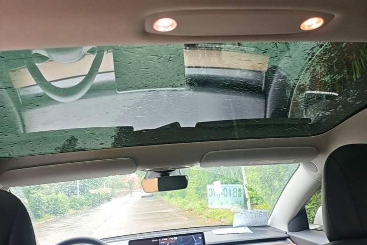 Used Tesla Model 3 2019 Long-Range All-Wheel-Drive Version Headliner