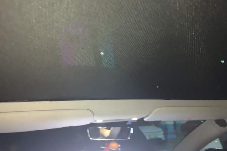 Used Tesla Model 3 2019 Long-Range Rear-Wheel-Drive Version Headliner