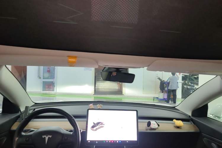 Used Tesla Model 3 2019 Long-Range Rear-Wheel-Drive Version Headliner