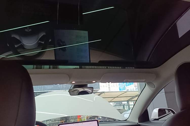 Used Tesla Model 3 2019 Long-Range All-Wheel-Drive Version Headliner