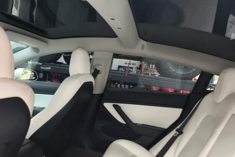 Used Tesla Model 3 2019 Long-Range Rear-Wheel-Drive Version Headliner