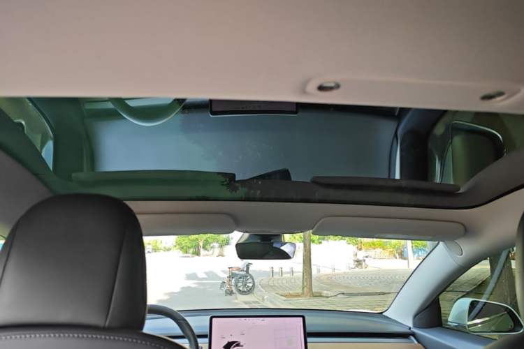 Used Tesla Model 3 2019 Long-Range All-Wheel-Drive Version Headliner