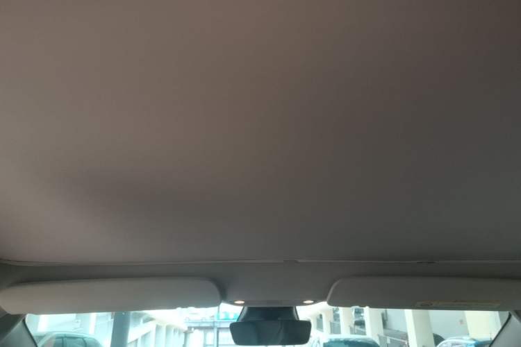 Used Tesla Model 3 2019 Standard Range Rear-Drive Upgraded Version Headliner