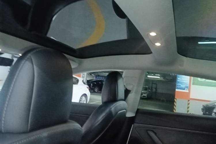 Used Tesla Model 3 2019 Long-Range Rear-Wheel-Drive Version Headliner