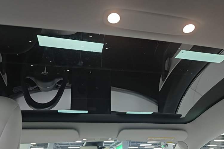 Used Tesla Model 3 2019 Long-Range Rear-Wheel-Drive Version Headliner