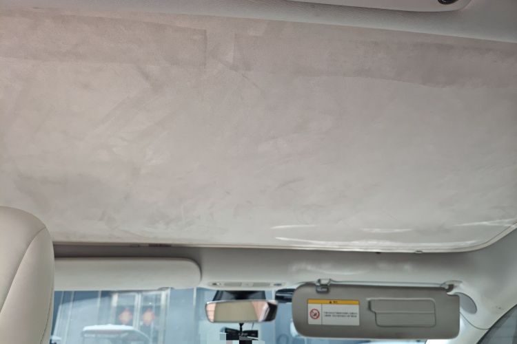 Used Tesla Model 3 2019 Performance High-Performance All-Wheel-Drive Version Headliner
