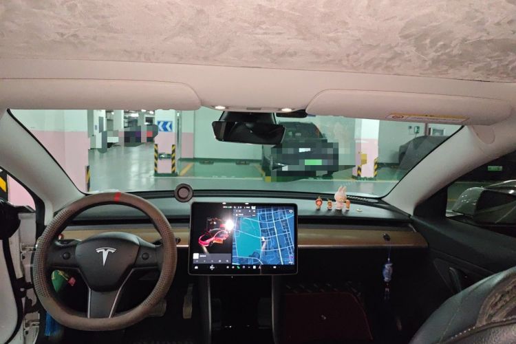 Used Tesla Model 3 2019 Standard Range Rear-Wheel Drive Upgraded Version (60 kWh) Headliner