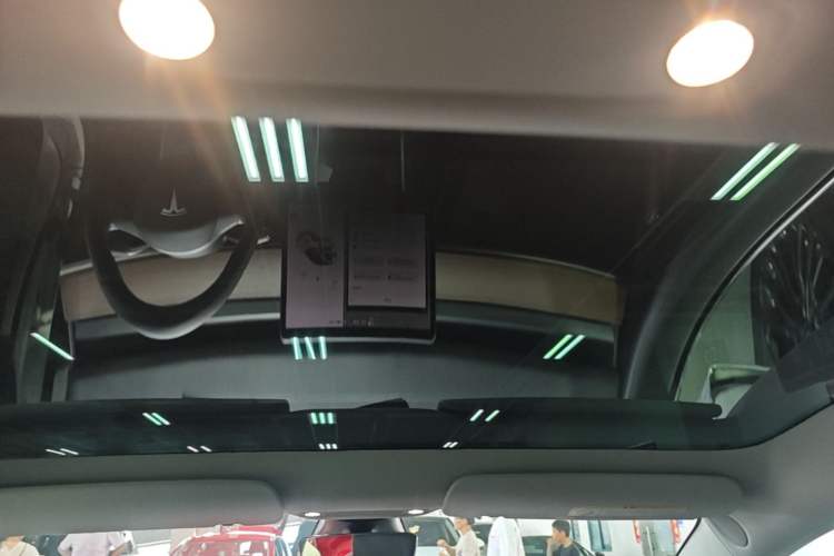 Used Tesla Model 3 2019 Long-Range All-Wheel-Drive Version Headliner