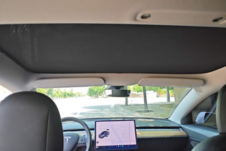 Used Tesla Model 3 2019 Standard Range Rear-Drive Upgraded Version Headliner