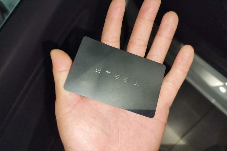 Used Tesla Model 3 2019 Long-Range Rear-Wheel-Drive Version Interior 1