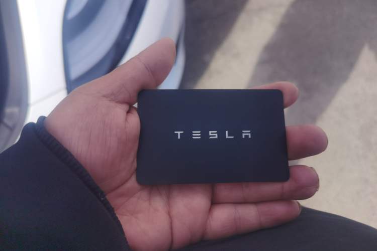 Used Tesla Model 3 2019 Standard Range Rear-Drive Upgraded Version Interior 1