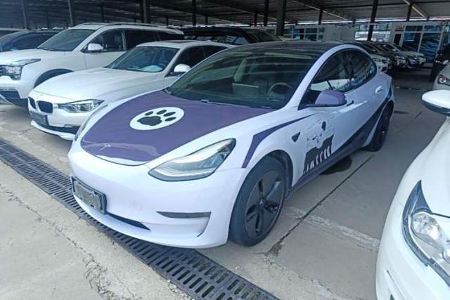 Used Tesla Model 3 2019 Long-Range Rear-Wheel-Drive Version
