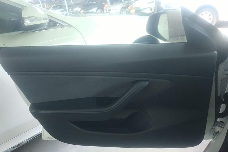 Used Tesla Model 3 2019 Performance High-Performance All-Wheel-Drive Version Left Front Door Interior
