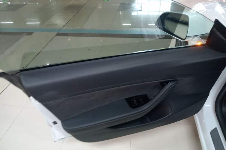 Used Tesla Model 3 2019 Standard Range Rear-Wheel Drive Upgraded Version (52 kWh) Left Front Door Interior