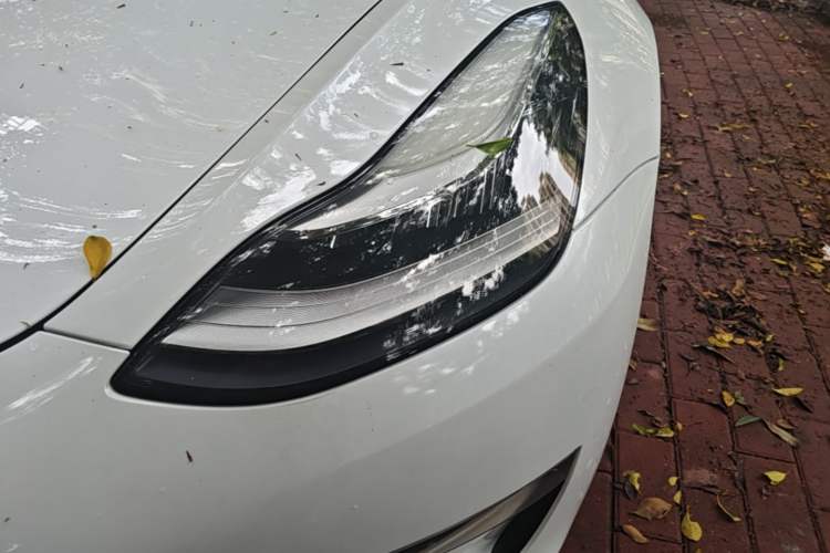 Used Tesla Model 3 2019 Long-Range Rear-Wheel-Drive Version Left Front Headlight