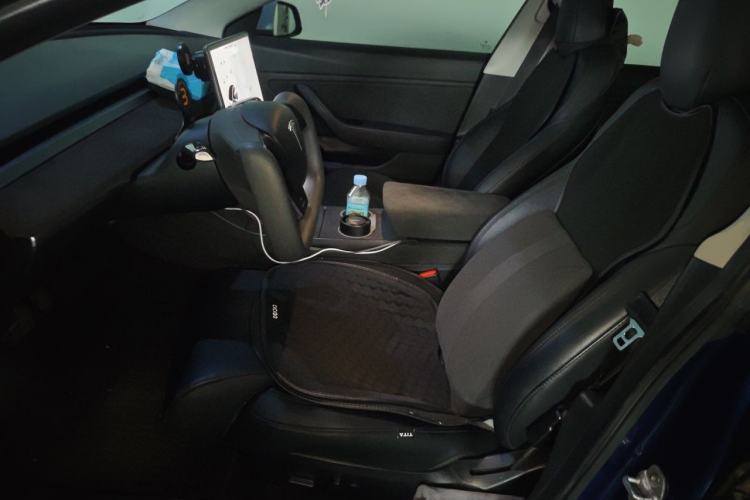 Used Tesla Model 3 2019 Long-Range All-Wheel-Drive Version Left Front Seat
